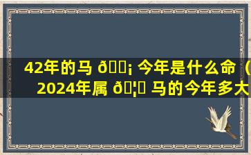 42年的马 🐡 今年是什么命（2024年属 🦅 马的今年多大岁数了）